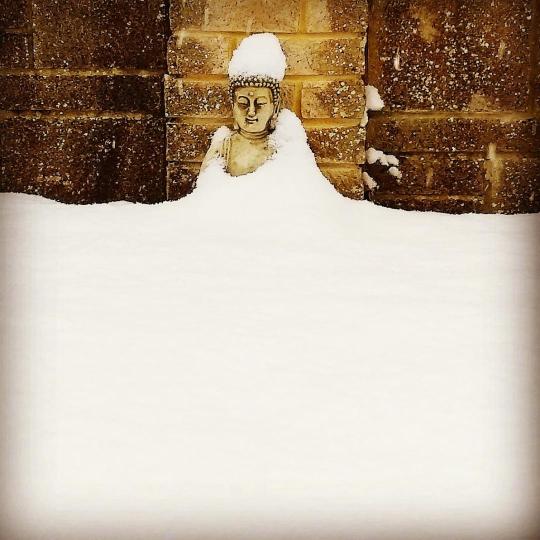 BuddhaInSnow