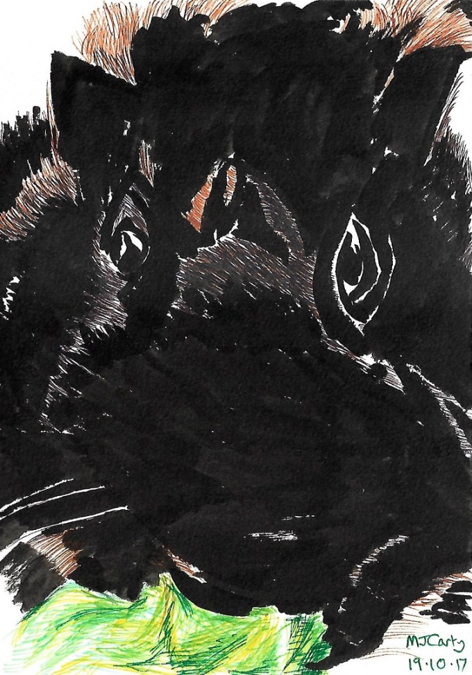 Praline_2017Portrait_CROPPED