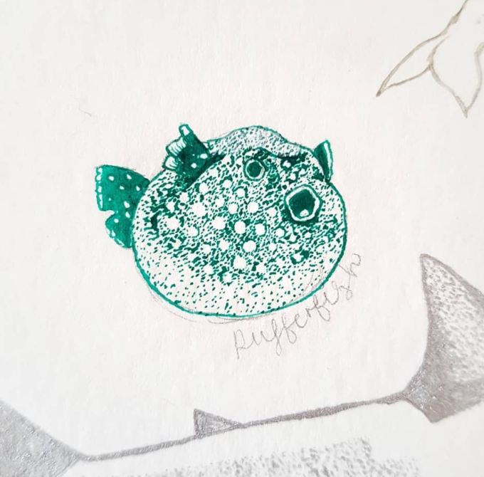 pufferfish #wip