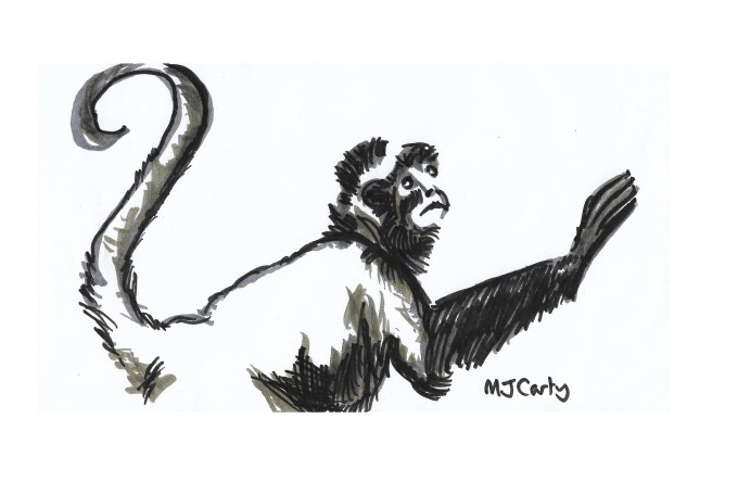 18 Inktober_18Oct2019_SpiderMonkey_CROPPED