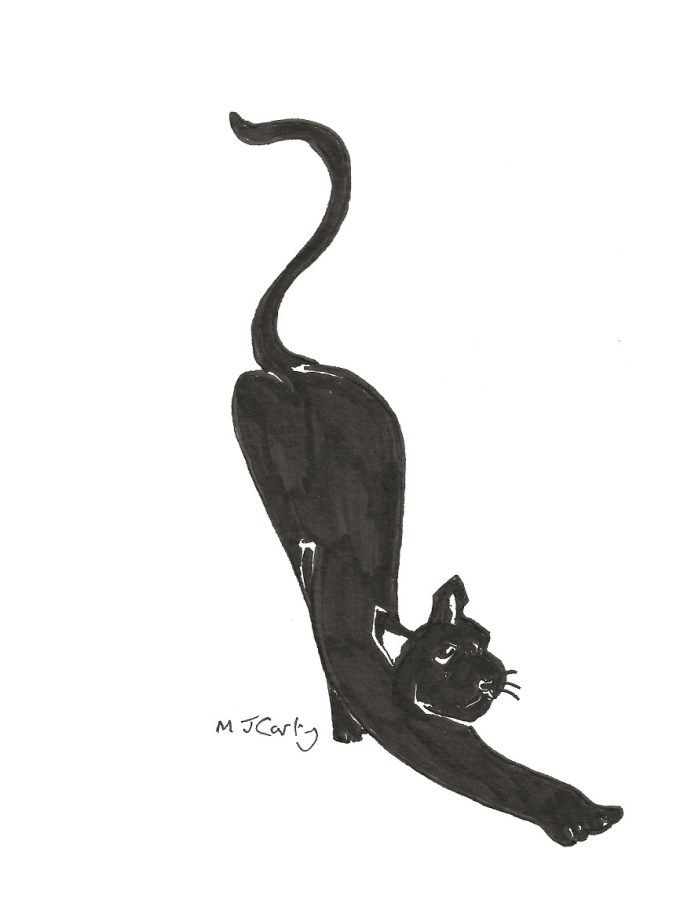 21 BlackCatStretch_SCAN_CROPPED