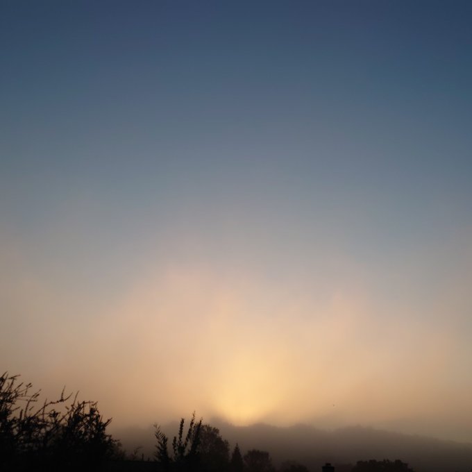 SunThroughMistMJCarty11Aug2022