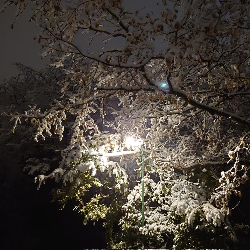 StreetlightInSnow12Dec2022