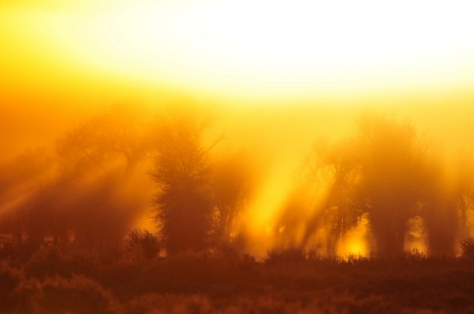 Winter_Sunrise_Along_Green_River_on_Seedskadee_NWR_(23188557573)