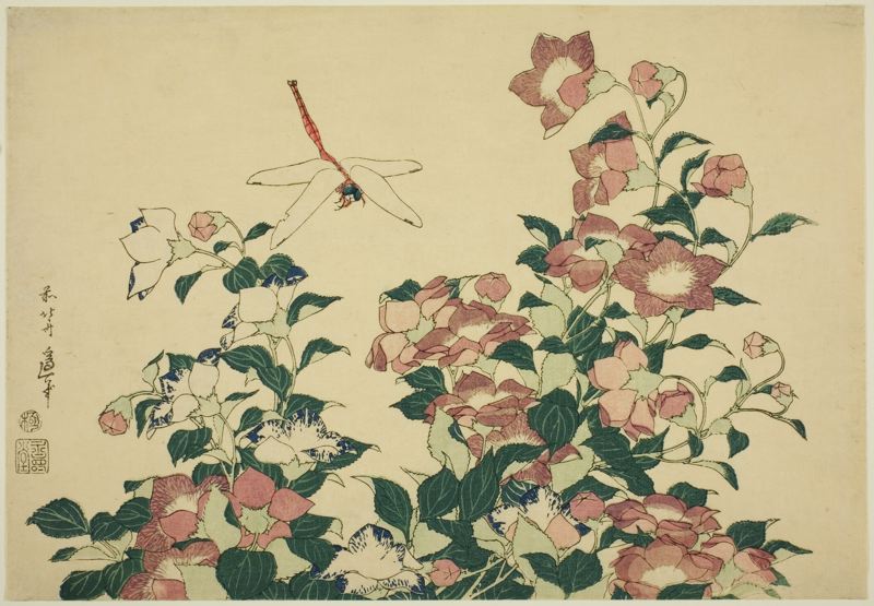 Bell-flower_and_Dragonfly_--_Hokusai