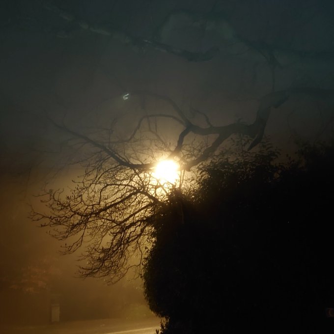 EerieMistyMorningByMJCarty17March2023