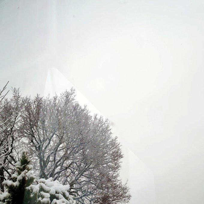 MJCartySnow8March2023