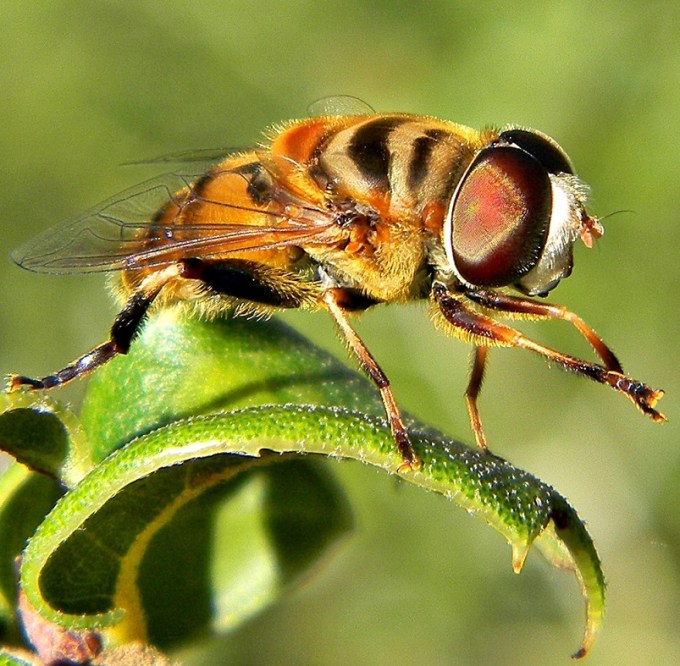 Namaste!_(8089480678)