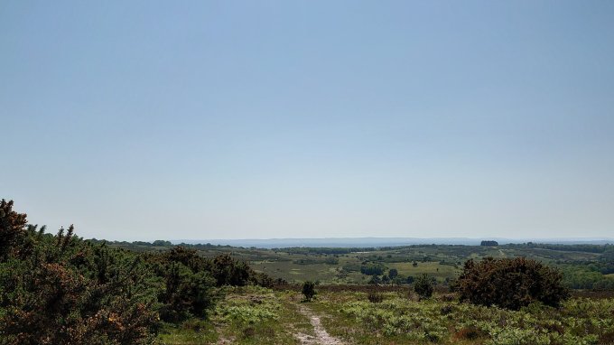 AshdownForestMJCarty8June2023