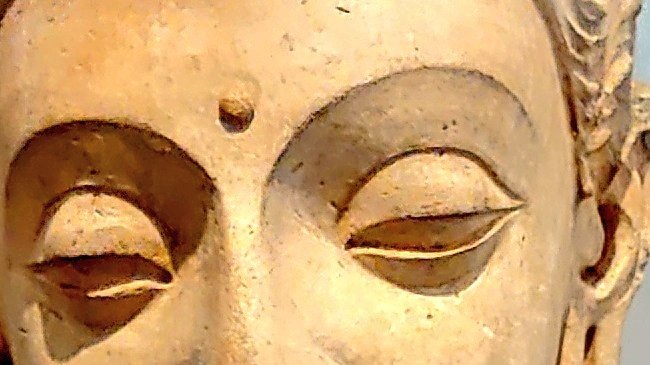 img_20230709_163133_4171849786803936125966