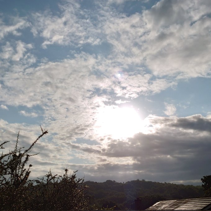 SunBurningThroughMJCarty25July2023