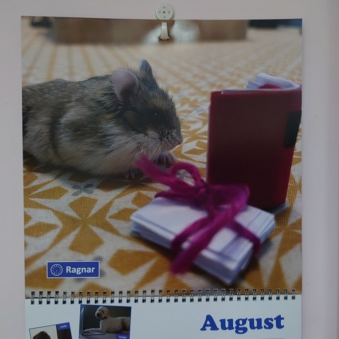 RagnarMJCarty1Aug2023