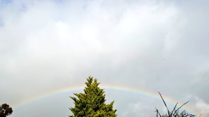 ReallyRatherRainbowyMJCarty21October2023