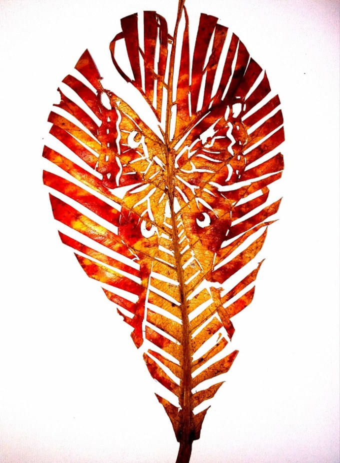 Butterfly_by_deepan_sa