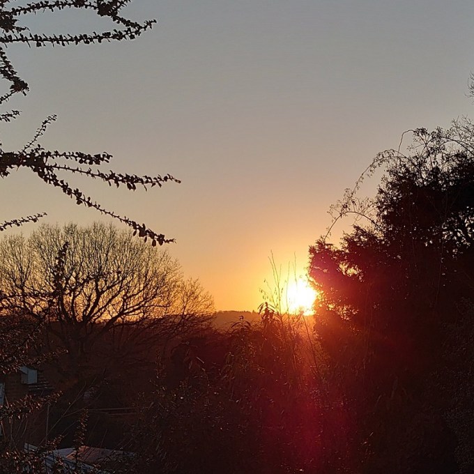 FrozenSunriseMJCarty10Jan2024