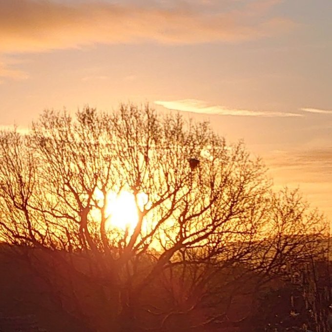 SunriseMJCarty11Feb2024