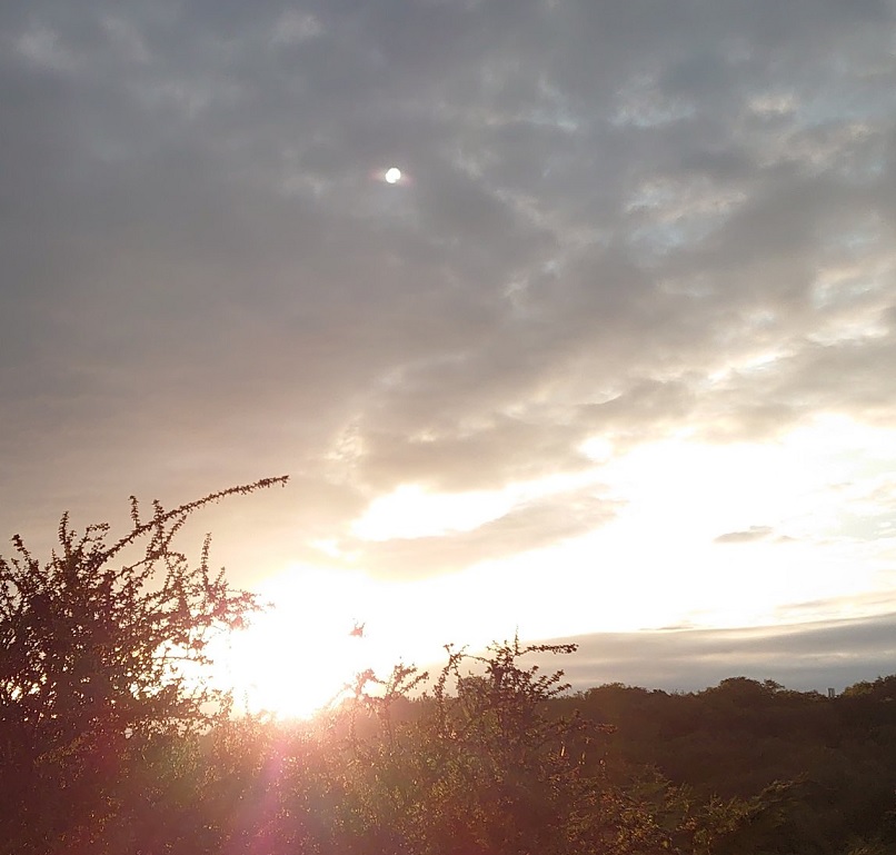 RisingSun30Jun2024MJCarty