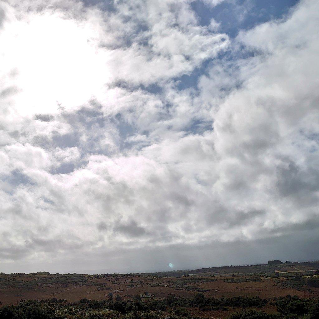 AshdownSnippetOfSunMJCarty26Sep2024