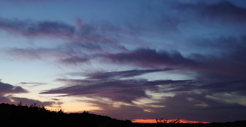 HintOfRedMJCarty7September2024