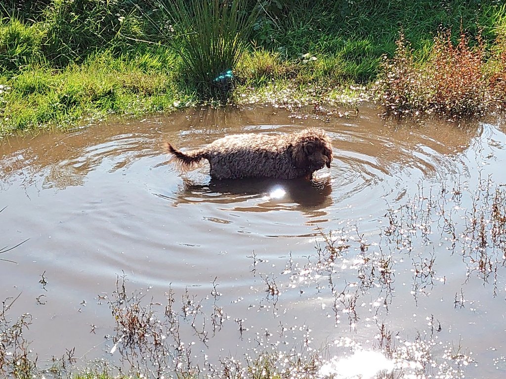 MegAvecPuddleMJCarty20Sep2024