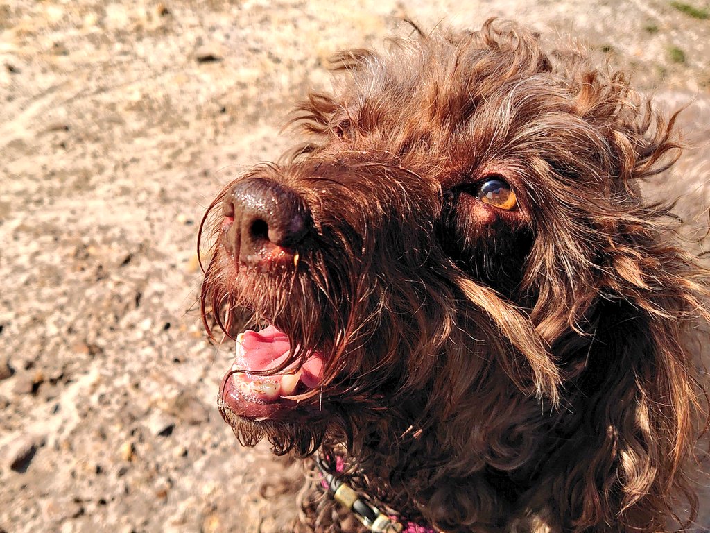 MegLookingUpMJCarty20Sep2024