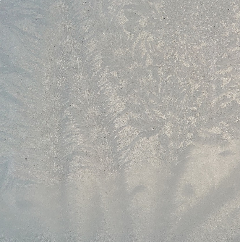 FrostMJCarty20Nov2024