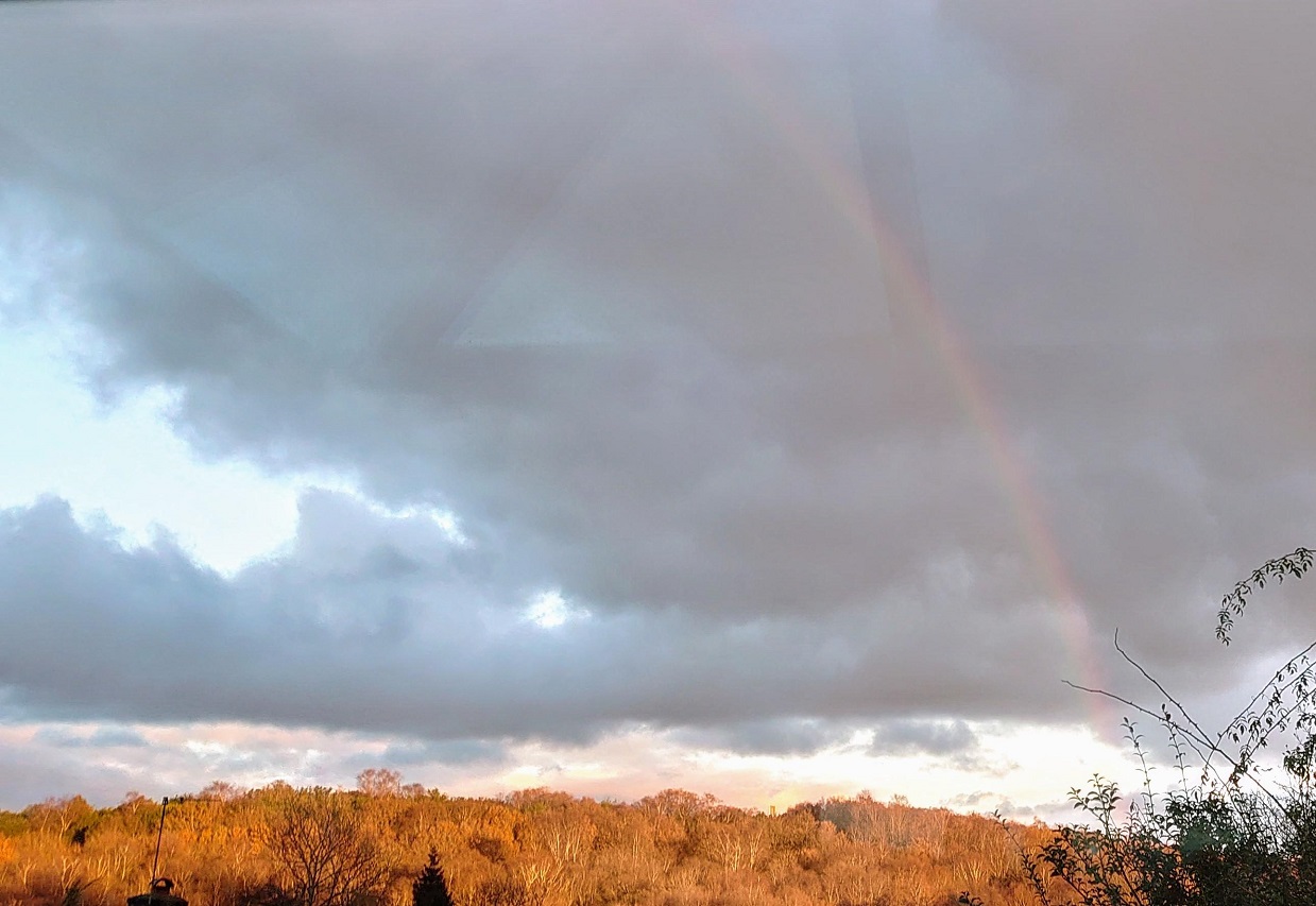 RainbowMJCarty2Dec2024