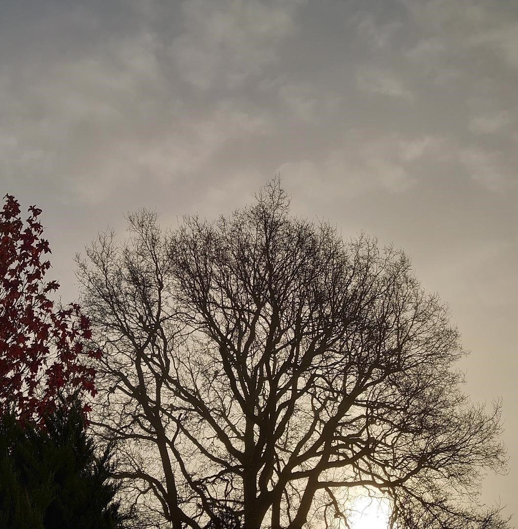 XmasEveSunriseMJCarty24Dec2024