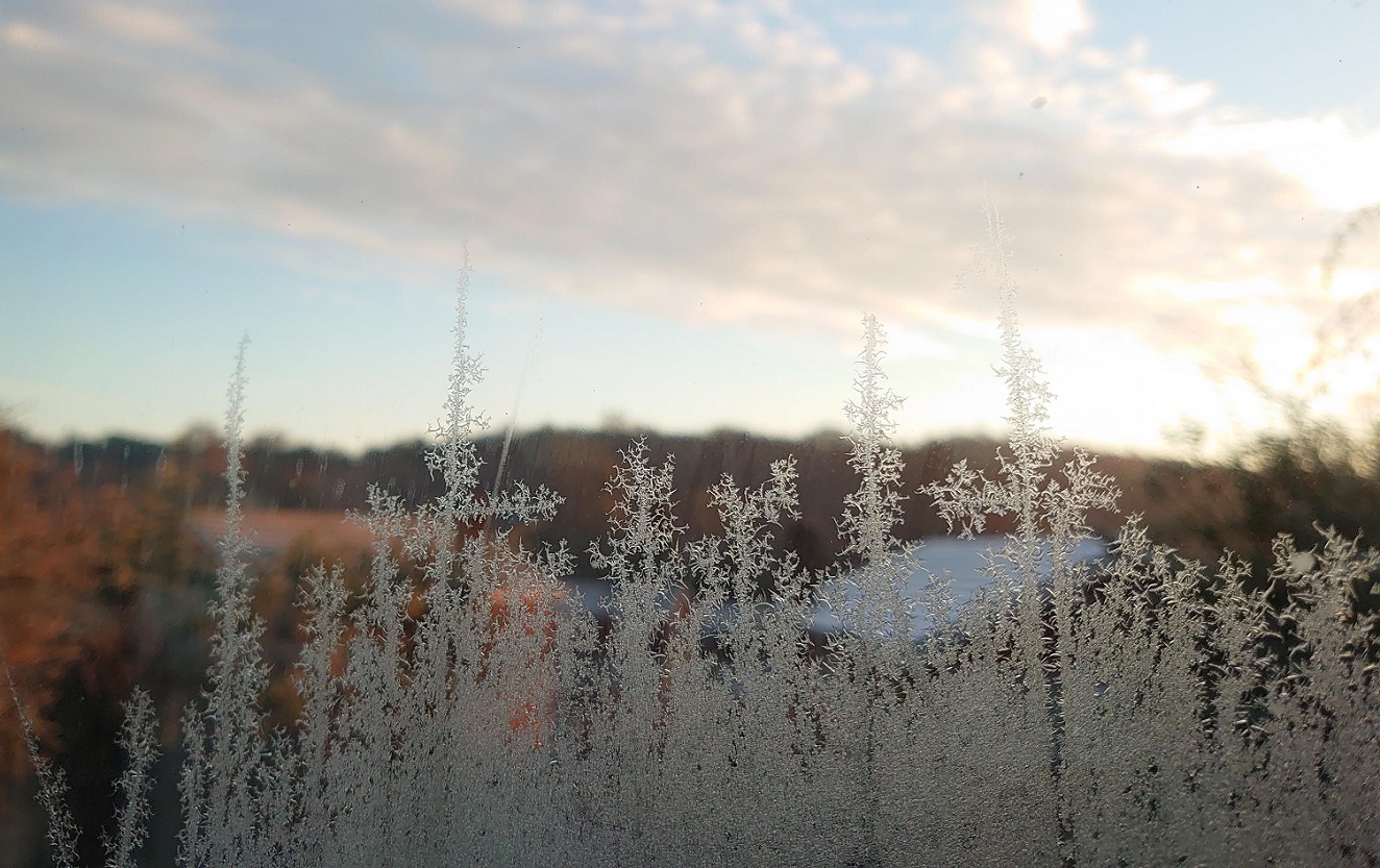 StayFrostyMJCarty10Jan2025